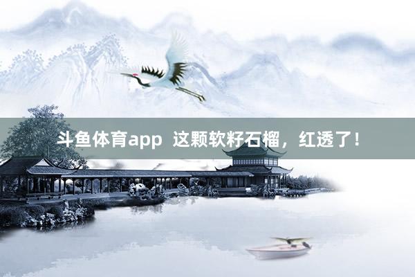 斗鱼体育app  这颗软籽石榴，红透了！