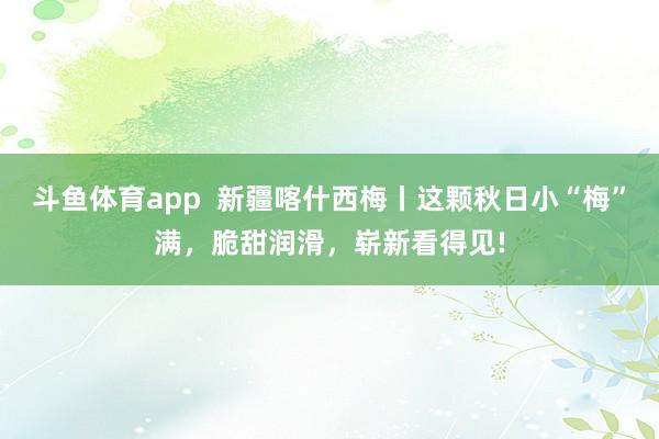 斗鱼体育app  新疆喀什西梅丨这颗秋日小“梅”满，脆甜润滑，崭新看得见!