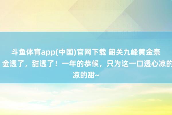 斗鱼体育app(中国)官网下载 韶关九峰黄金柰李丨金透了，甜透了！一年的恭候，只为这一口透心凉的甜~