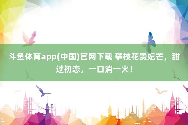 斗鱼体育app(中国)官网下载 攀枝花贵妃芒，甜过初恋，一口消一火！