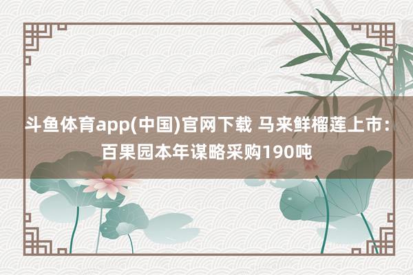 斗鱼体育app(中国)官网下载 马来鲜榴莲上市：百果园本年谋略采购190吨
