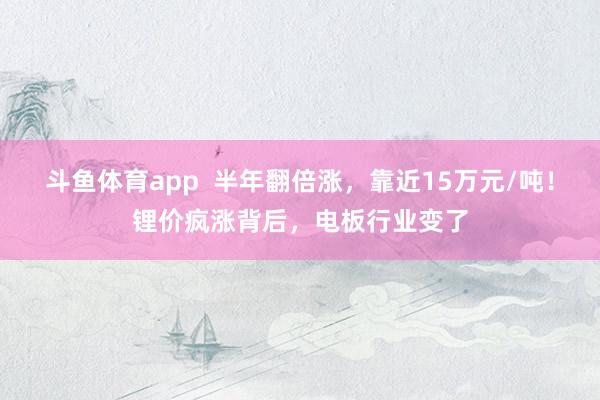 斗鱼体育app  半年翻倍涨，靠近15万元/吨！锂价疯涨背后，电板行业变了