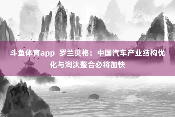 斗鱼体育app  罗兰贝格：中国汽车产业结构优化与淘汰整合必将加快