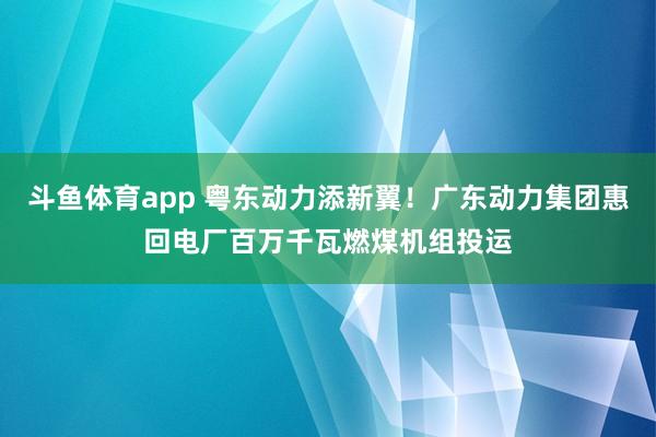 斗鱼体育app 粤东动力添新翼！广东动力集团惠回电厂百万千瓦燃煤机组投运