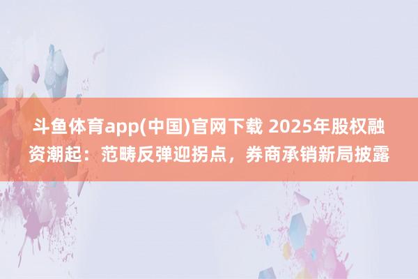 斗鱼体育app(中国)官网下载 2025年股权融资潮起：范畴反弹迎拐点，券商承销新局披露