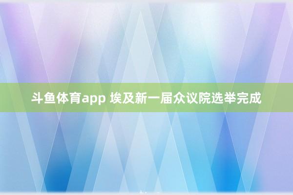 斗鱼体育app 埃及新一届众议院选举完成