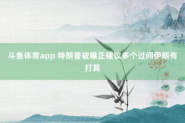 斗鱼体育app 特朗普被曝正磋议多个过问伊朗有打算