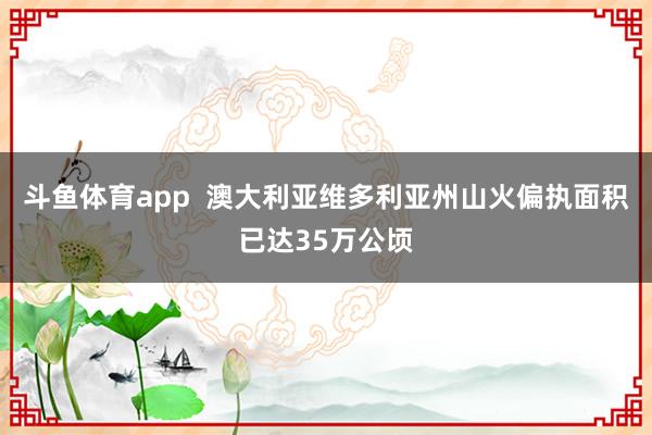 斗鱼体育app  澳大利亚维多利亚州山火偏执面积已达35万公顷