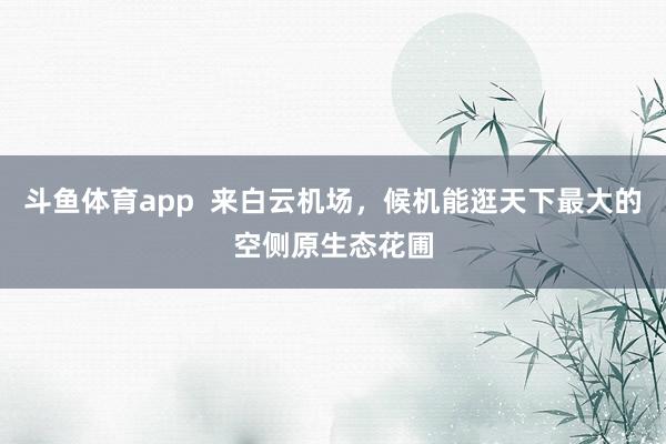 斗鱼体育app  来白云机场，候机能逛天下最大的空侧原生态花圃