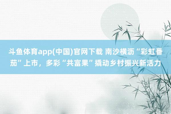 斗鱼体育app(中国)官网下载 南沙横沥“彩虹番茄”上市，多彩“共富果”撬动乡村振兴新活力