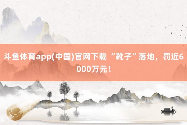 斗鱼体育app(中国)官网下载 “靴子”落地，罚近6000万元！