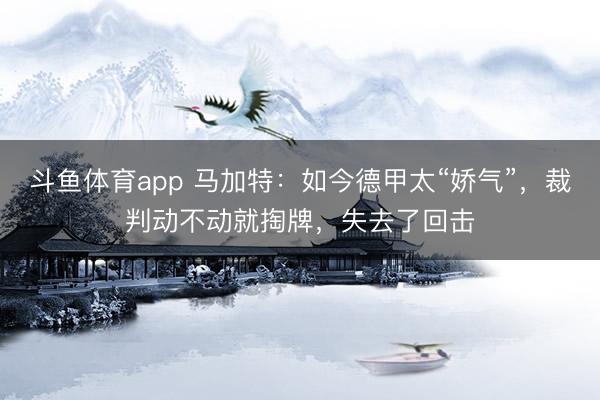 斗鱼体育app 马加特：如今德甲太“娇气”，裁判动不动就掏牌，失去了回击
