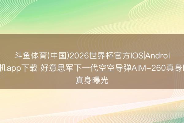 斗鱼体育(中国)2026世界杯官方IOS|Android手机app下载 好意思军下一代空空导弹AIM-260真身曝光