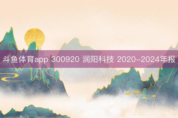 斗鱼体育app 300920 润阳科技 2020-2024年报