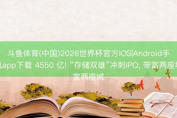 斗鱼体育(中国)2026世界杯官方IOS|Android手机app下载 4550 亿! “存储双雄”冲刺IPO， 带富两座城