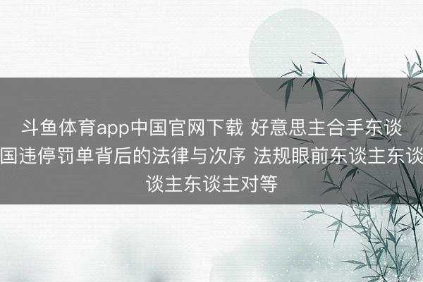 斗鱼体育app中国官网下载 好意思主合手东谈主谈中国违停罚单背后的法律与次序 法规眼前东谈主东谈主对等