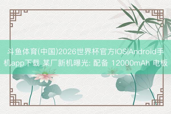 斗鱼体育(中国)2026世界杯官方IOS|Android手机app下载 某厂新机曝光: 配备 12000mAh 电板