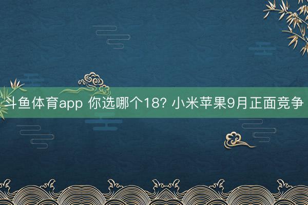 斗鱼体育app 你选哪个18? 小米苹果9月正面竞争