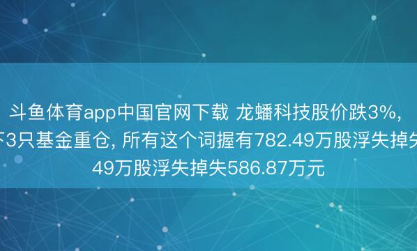 斗鱼体育app中国官网下载 龙蟠科技股价跌3%， 广发基金旗下3只基金重仓， 所有这个词握有782.49万股浮失掉失586.87万元